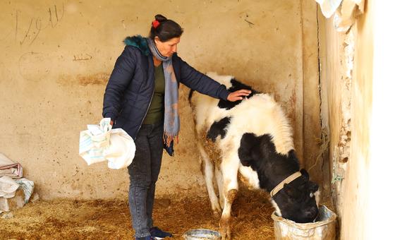 Séismes en Türkiye : des pertes de plus de 20% de la production alimentaire